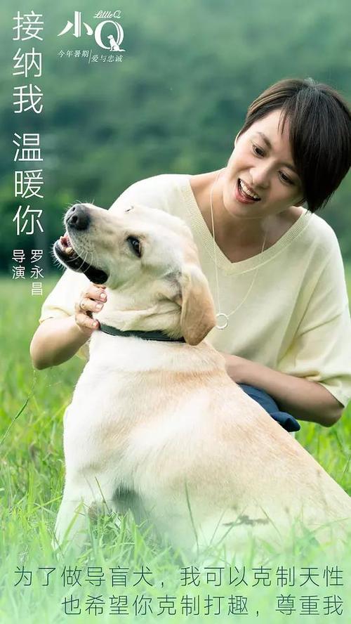 卡尔文学院文凭毕业证怎么买到